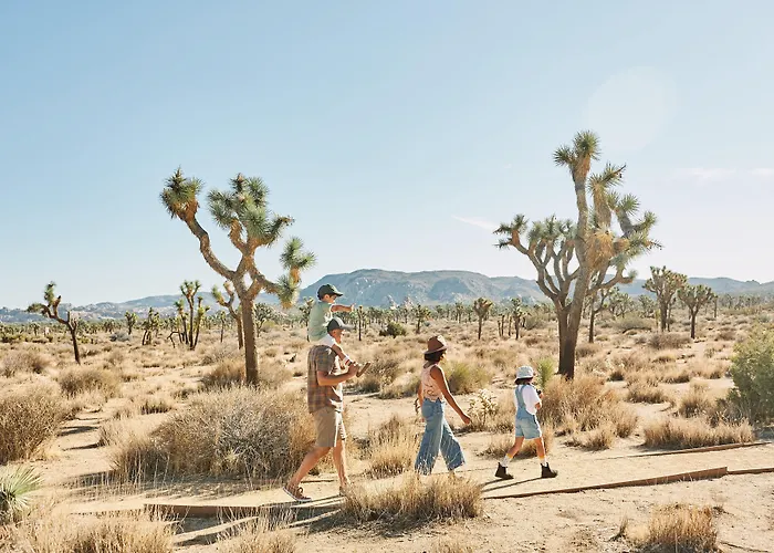 Autocamp Joshua Tree